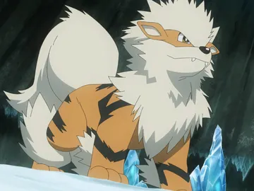 ¿Cringe o adorable? La red se divide ante el perro Arcanine de Tik Tok ¿Cringe o adorable? La red se divide ante el perro Arcanine de Tik Tok