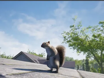 Squirrel with a Gun Squirrel with a Gun