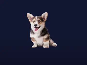 El platino de PlayStation más fácil de la historia sólo requiere que acaricies un perro El platino de PlayStation más fácil de la historia sólo requiere que acaricies un perro