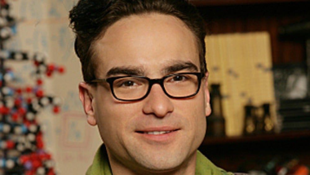 Dr. Leonard Hofstadter