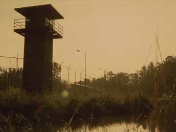 The Walking Dead The Walking Dead