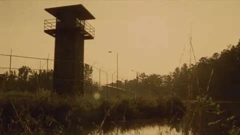 The Walking Dead The Walking Dead