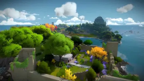 The Witness The Witness