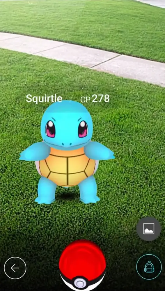 Squirtle en Pokémon GO
