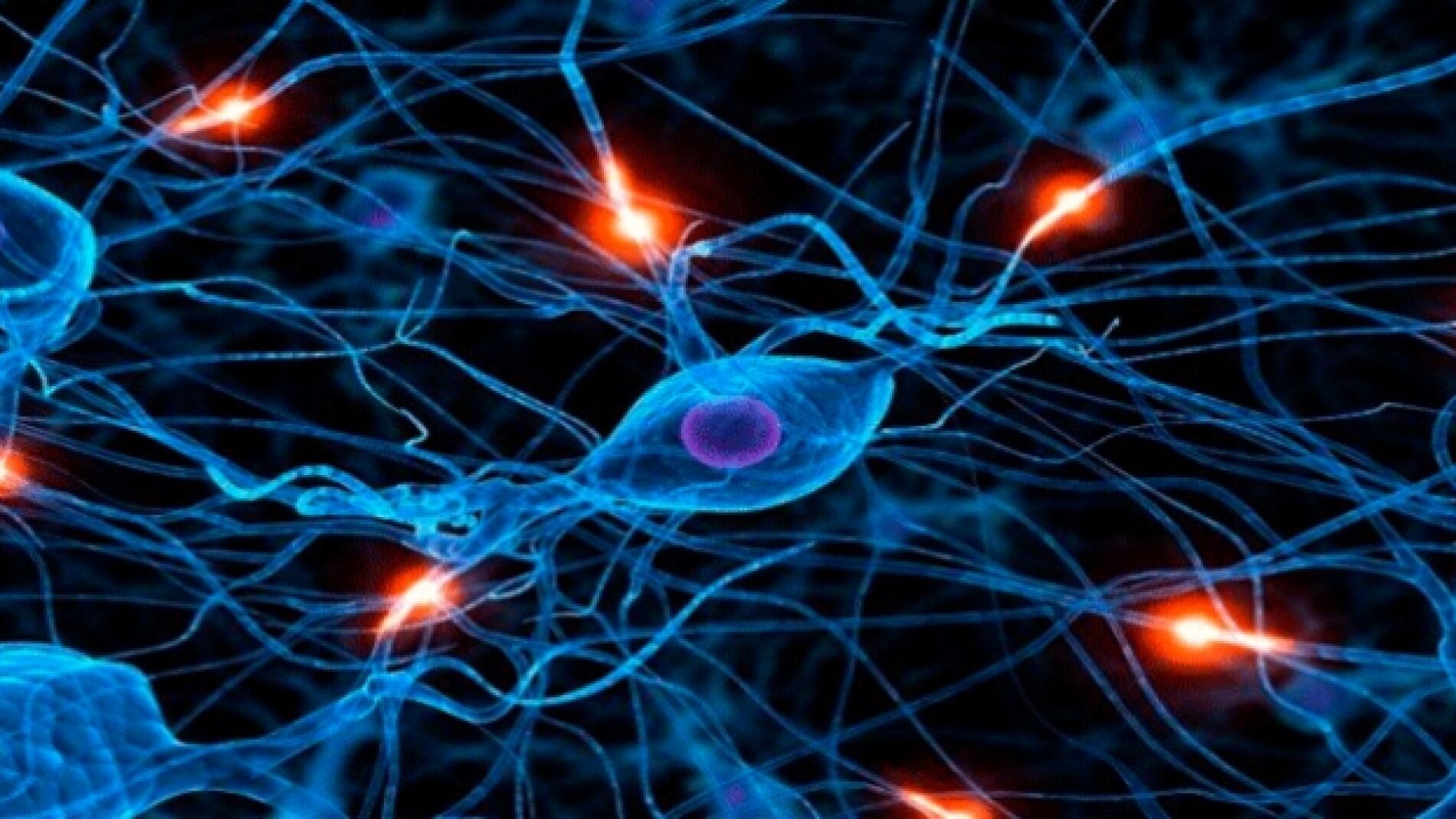 Inteligencia artificial