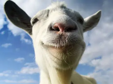 Goat Simulator Goat Simulator