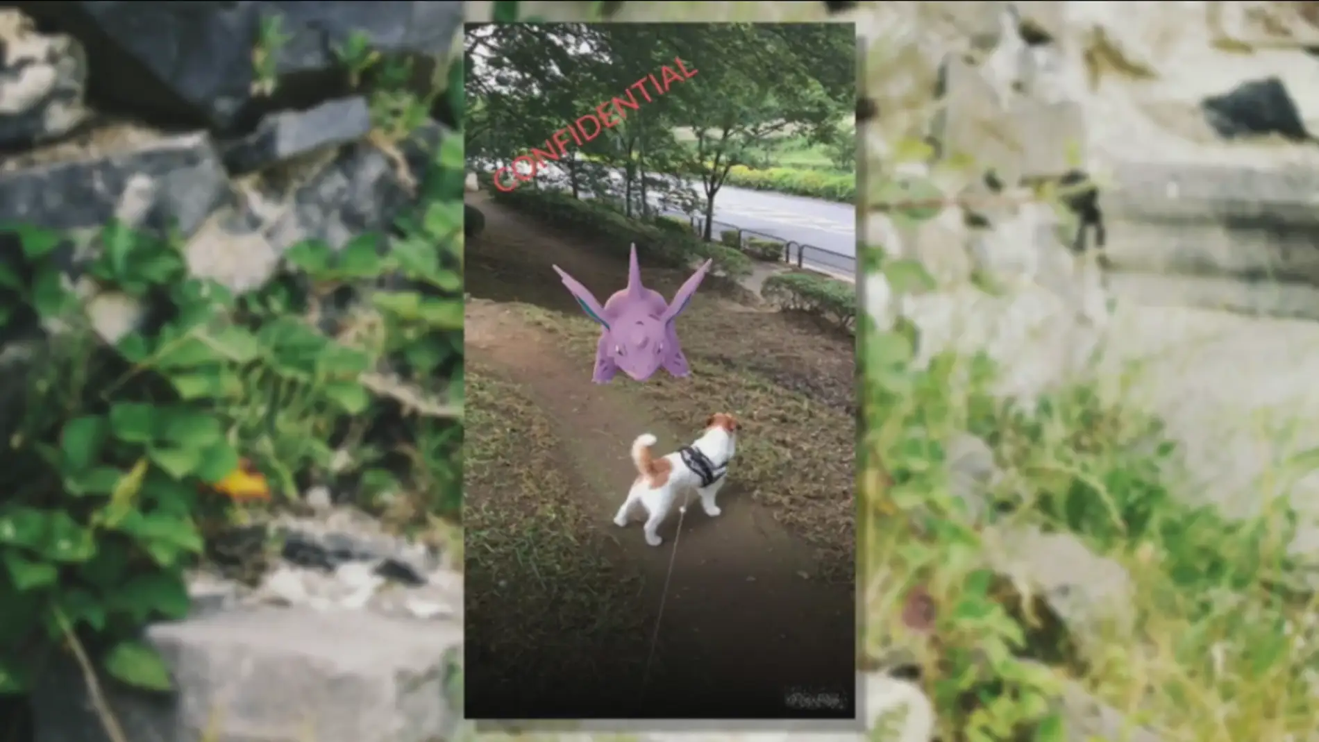 Pokémon GO