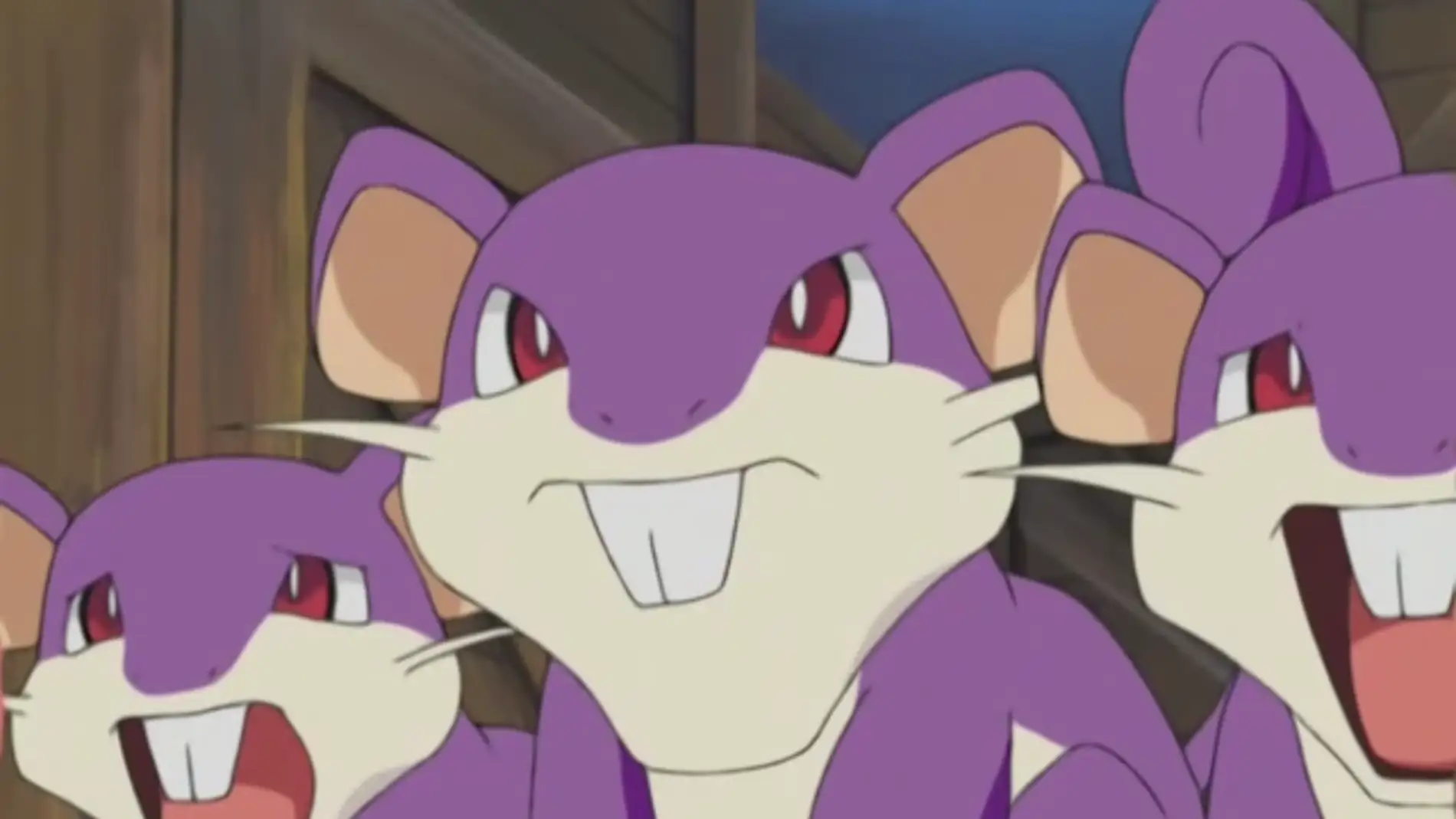 Rattata