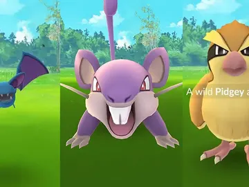 Zubat, Rattata y Pidgey Zubat, Rattata y Pidgey