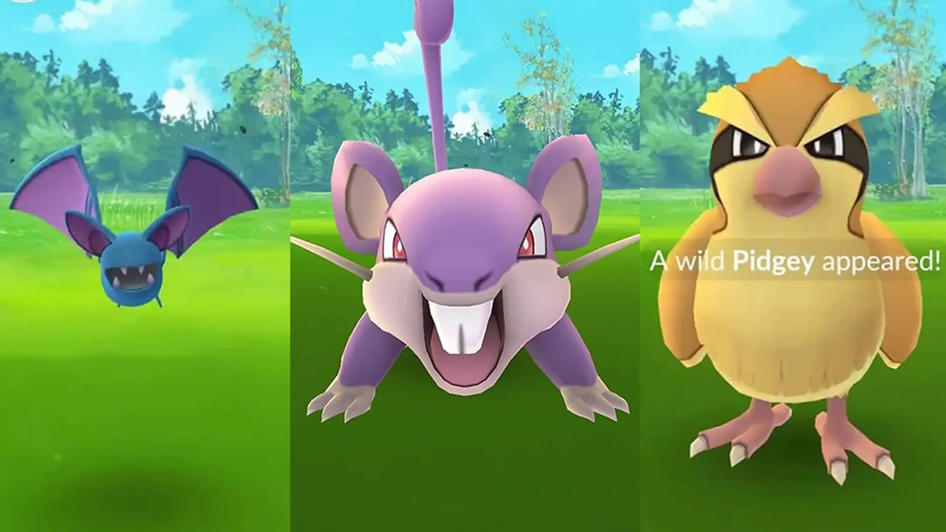 Zubat, Rattata y Pidgey