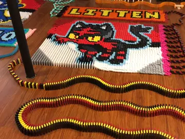 Dominó de Litten Dominó de Litten