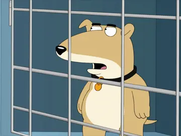 Frame 33.011992 de: Vinny Griffin, el nuevo perro de 'Padre de Familia' Frame 33.011992 de: Vinny Griffin, el nuevo perro de 'Padre de Familia'