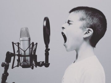 Las cuerdas vocales determinan el sonido de nuestra voz, pero sólo hasta cierto punto