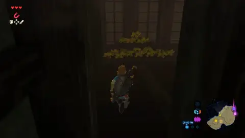 Plátanos de la Guarida Yiga en The Legend of Zelda: Breath of the Wild Plátanos de la Guarida Yiga en The Legend of Zelda: Breath of the Wild