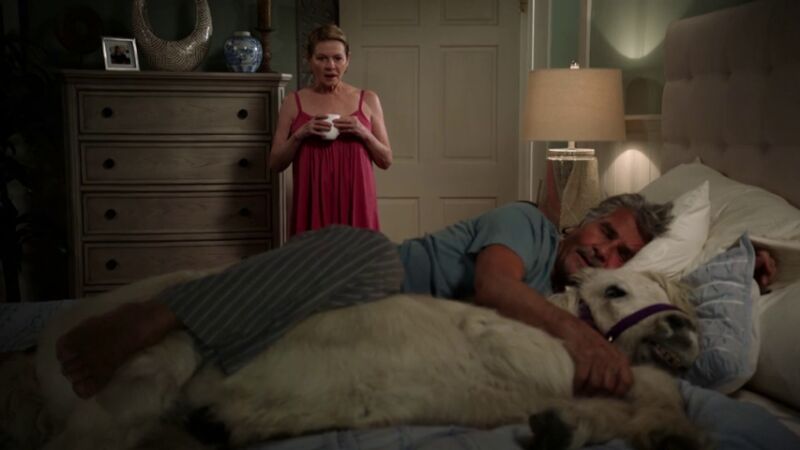 La 'yegua limonada', un nuevo miembro de la familia