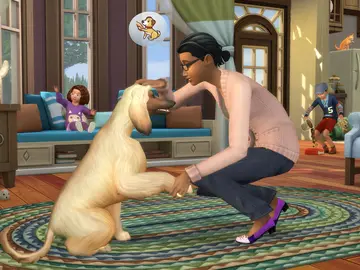 Perros y Gatos Perros y Gatos