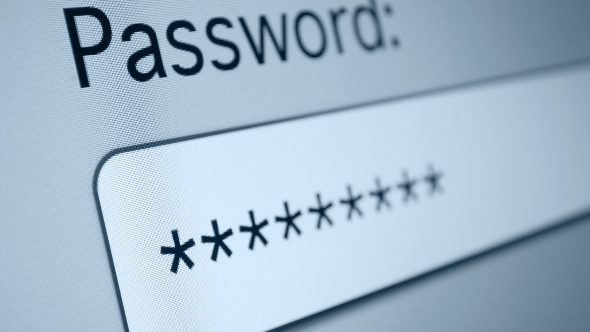 Password