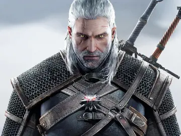 The Witcher The Witcher