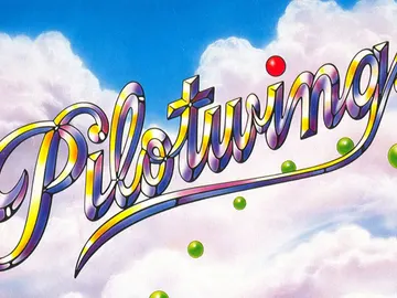 Pilotwings Pilotwings