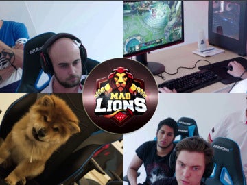 'Neox Games' muestra cómo es el día a día de los Mad Lions