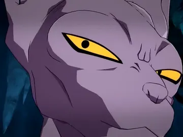 Beerus Beerus