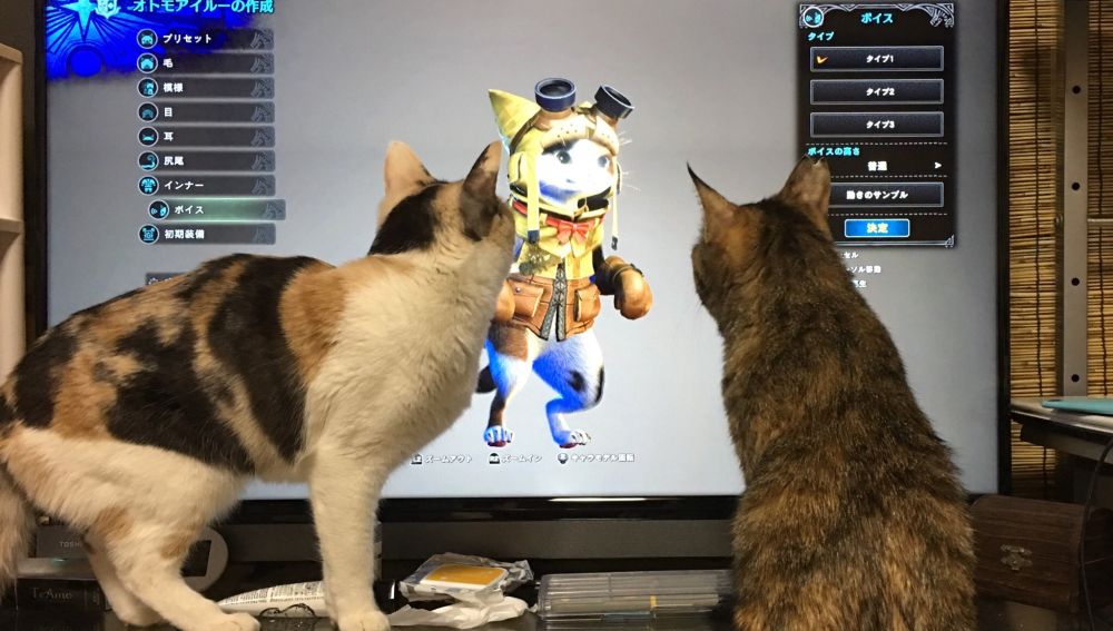 Los gatos reaccionan al juego de moda en PlayStation NEOX GAMES