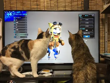 Gatos observando Monster Hunter World Gatos observando Monster Hunter World