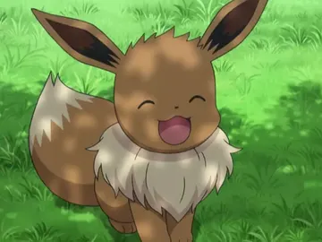 Eevee Eevee