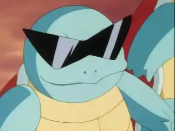 Squirtle Squirtle