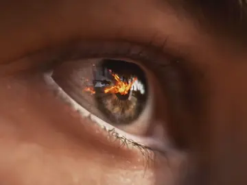 Battlefield V Battlefield V
