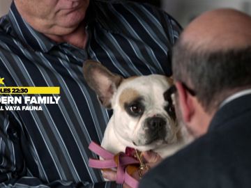 'Modern Family: Especial Vaya fauna', el miércoles en Neox 'Modern Family: Especial Vaya fauna', el miércoles en Neox