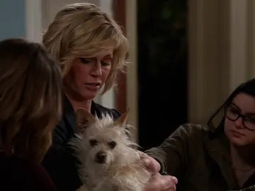 Los Dunphy buscan al dueño de este perro Los Dunphy buscan al dueño de este perro