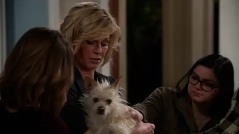 Los Dunphy buscan al dueño de este perro Los Dunphy buscan al dueño de este perro