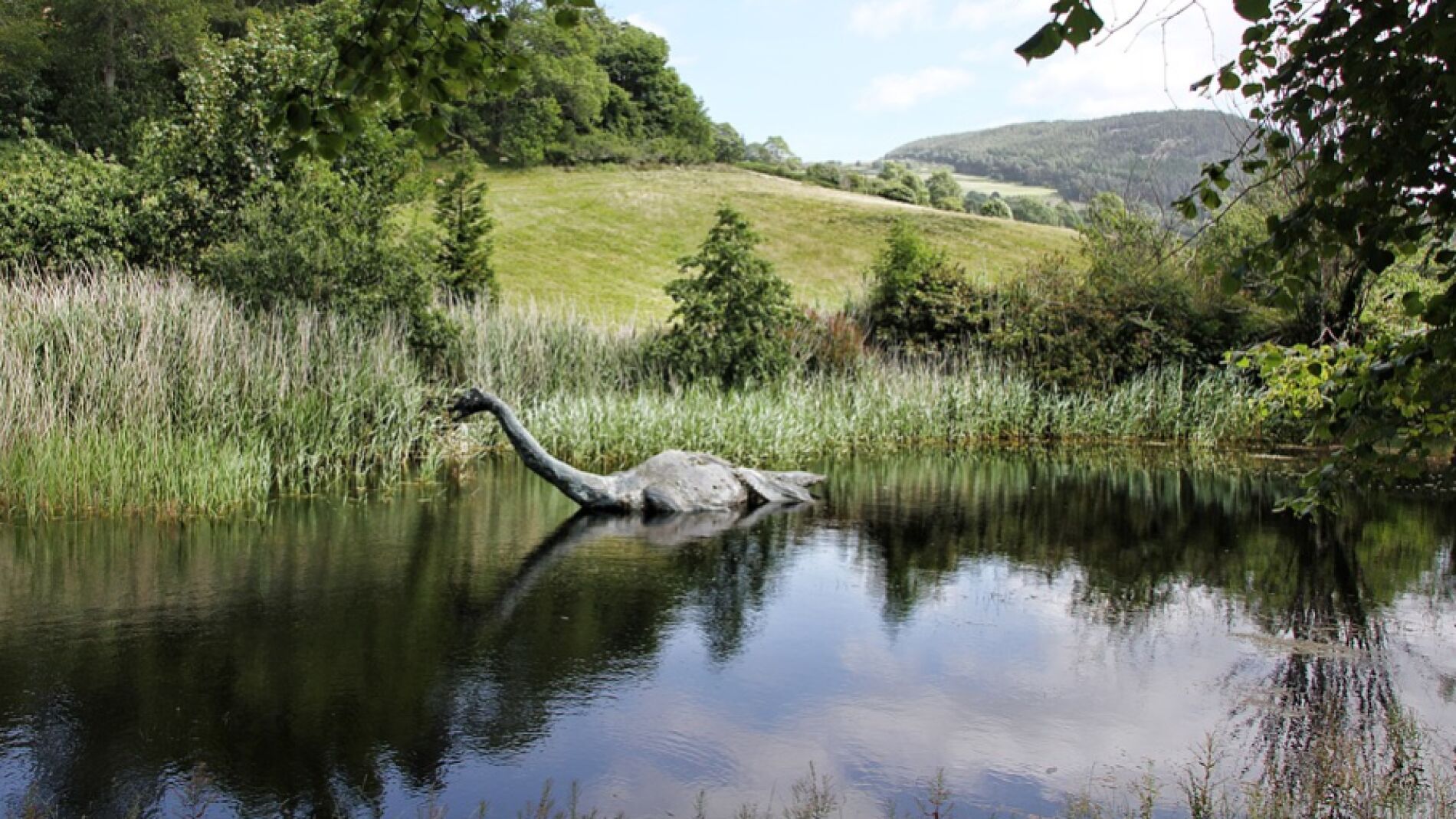 Recreación de un plesiosaurio