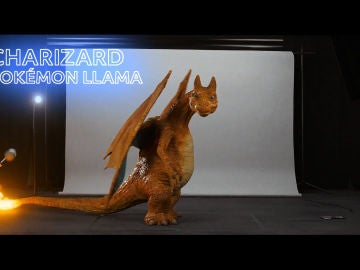 Charizard (Pokémon llama) Charizard (Pokémon llama)
