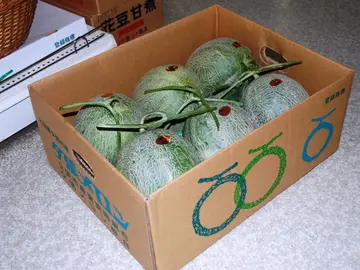 Melones Yubari King Melones Yubari King