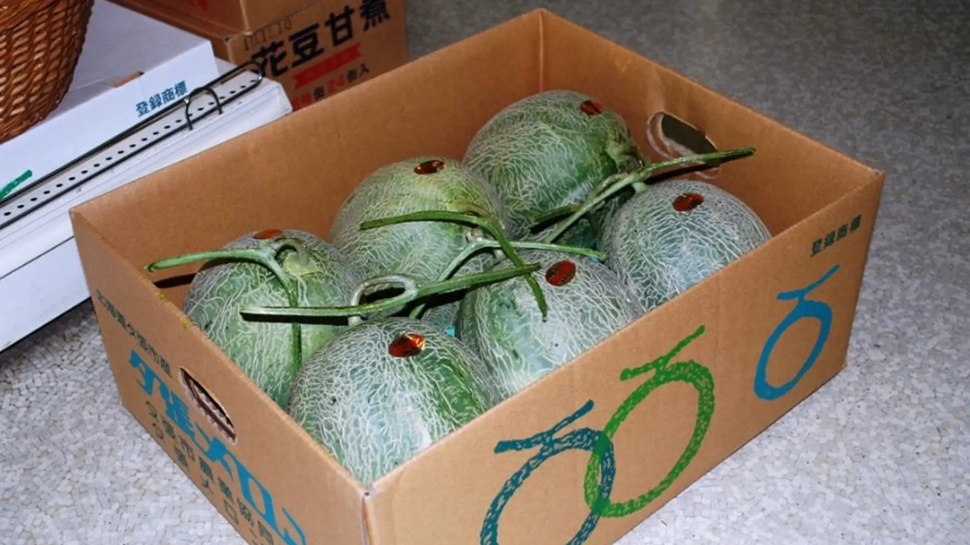 Melones Yubari King