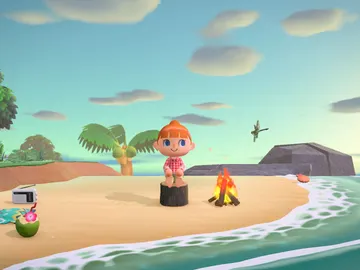 Animal Crossing: New Horizons Animal Crossing: New Horizons