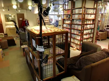 Neko no Iru Kyukeijo 299 / Cat Rest Stop 299 Neko no Iru Kyukeijo 299 / Cat Rest Stop 299