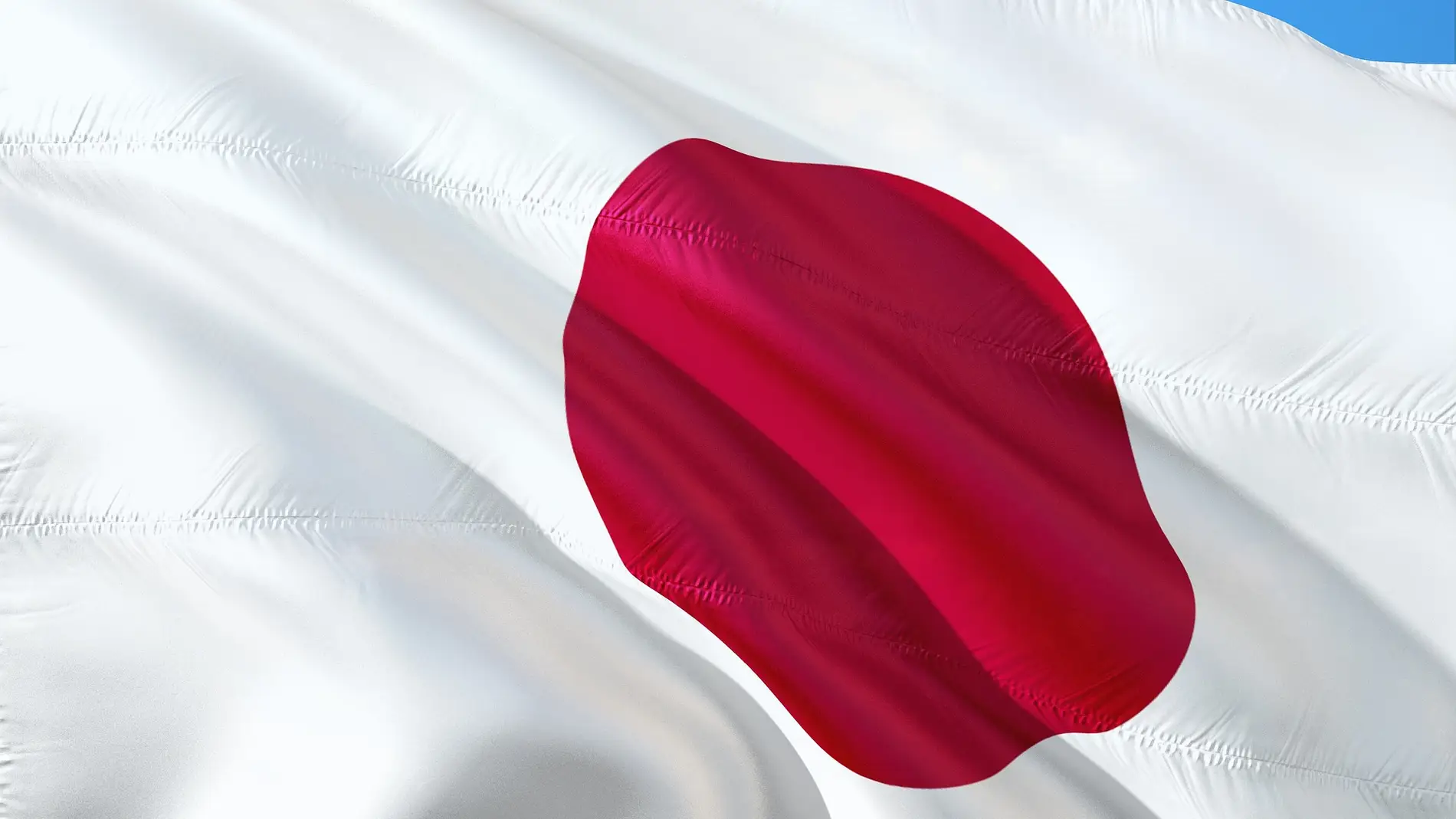 Con qué frecuencia Profesor aceptable La bandera de Japón no es exactamente blanca y roja
