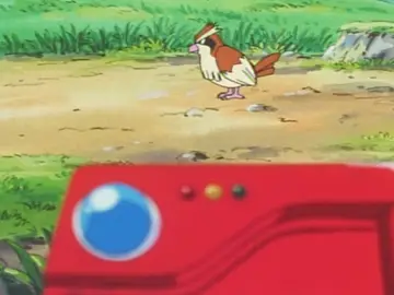 Pokédex en Pokémon Pokédex en Pokémon