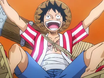 One Piece Estampida One Piece Estampida
