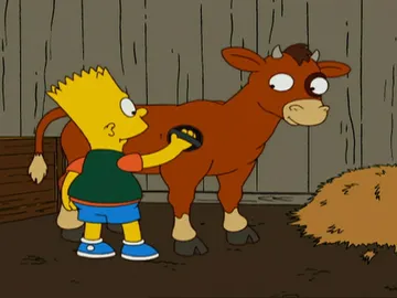 Bart y su ternero Bart y su ternero