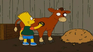 Bart y su ternero