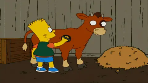 Bart y su ternero Los Simpson