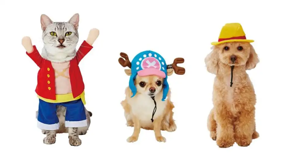 One Piece cosplay mascotas