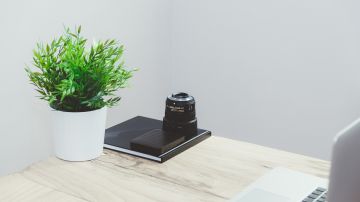 Planta en el lugar de trabajo