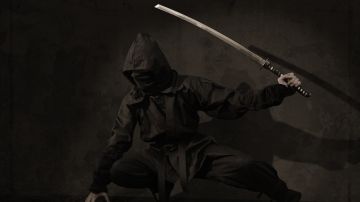 Ninja