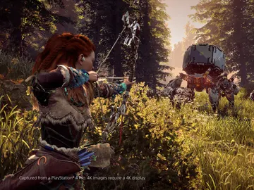 Horizon Zero Dawn Horizon Zero Dawn