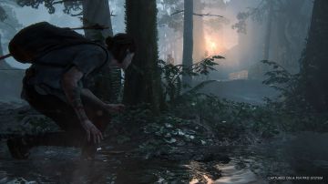 The Last of Us Parte II The Last of Us Parte II